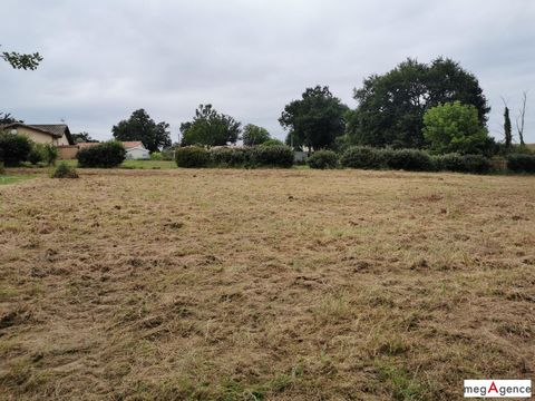photo no. 11