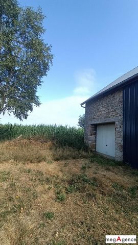 photo no. 11