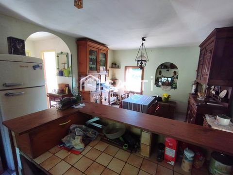 photo no. 5