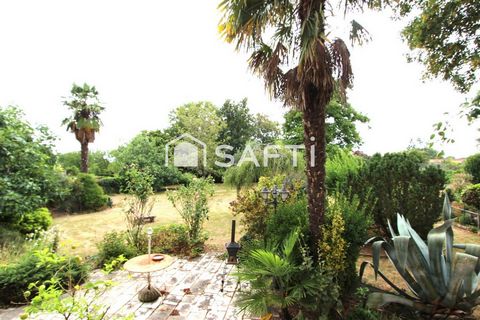 photo no. 11