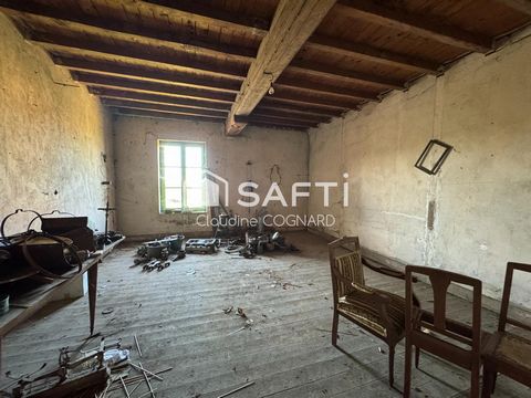 photo no. 8