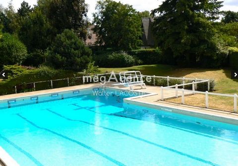 photo no. 10