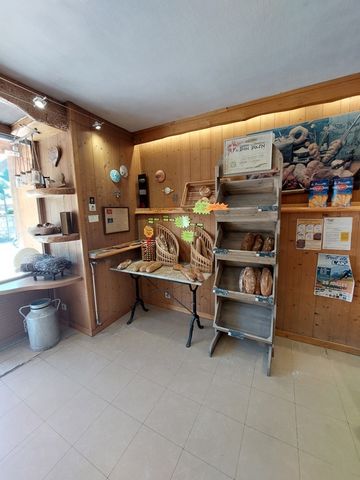 photo no. 2