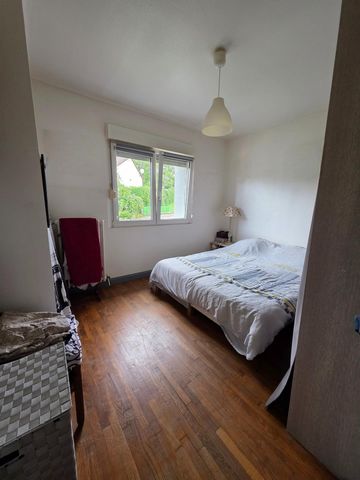 photo no. 12