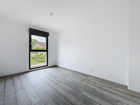 photo no. 6