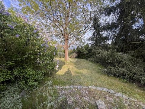 Met zijn 3 kamers en een woonoppervlak van 45 m² biedt het charmante vakantiehuis in Schildau het perfecte toevluchtsoord voor natuurliefhebbers. De rustige ligging en de nabijheid van het meer zorgen voor absolute ontspanning. Het ruime pand met fru...