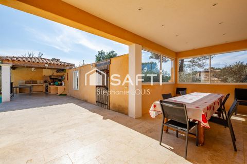 photo no. 10