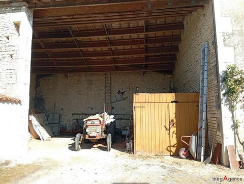 photo no. 10