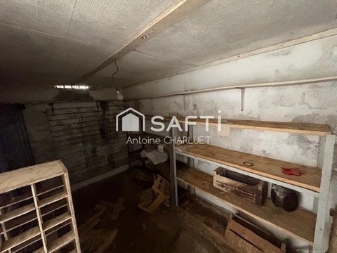 photo no. 13
