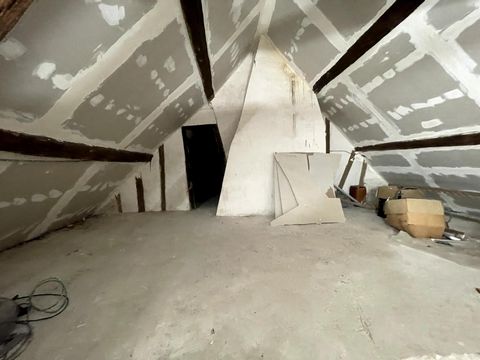 photo no. 10