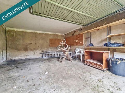 photo no. 10