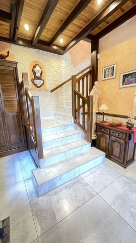 photo no. 19