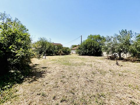 photo no. 14