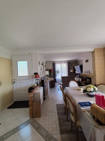 photo no. 4