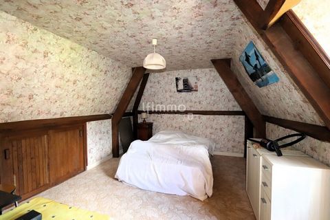 photo no. 8