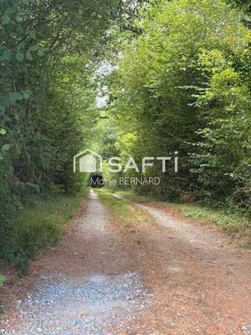 photo no. 11