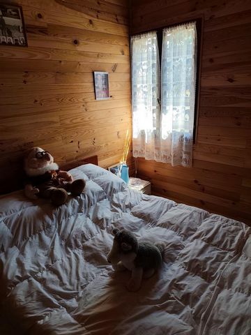 photo no. 17