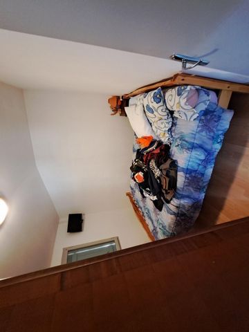 photo no. 12