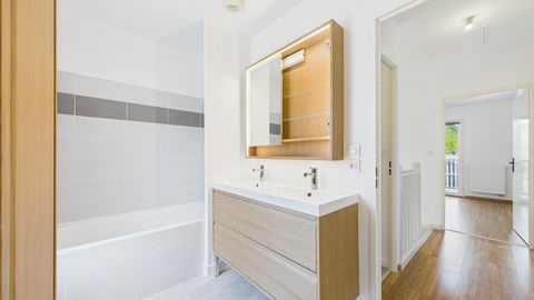 photo no. 11