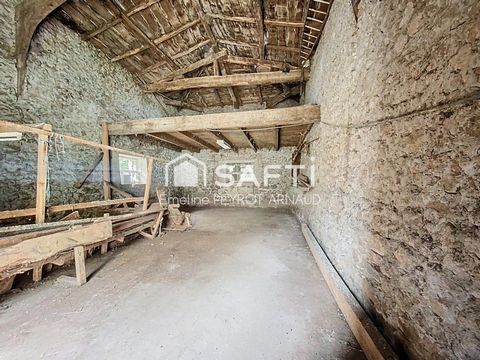 photo no. 6