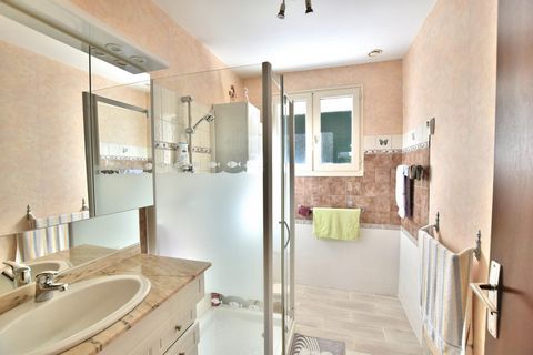 photo no. 8