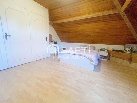 photo no. 8