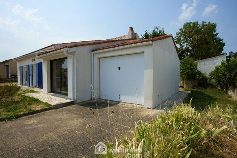 photo no. 10
