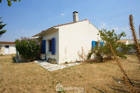 photo no. 12