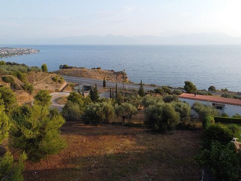 Prefecture of Achaia, Settlement Trapeza. For sale a plot of 614 sq.m., within the city plan, coverage factor. 0.6, buildable, builds 240 sq.m., mountain – sea view. The plot is ideally located near the sea (10 minutes drive) and has easy access by r...