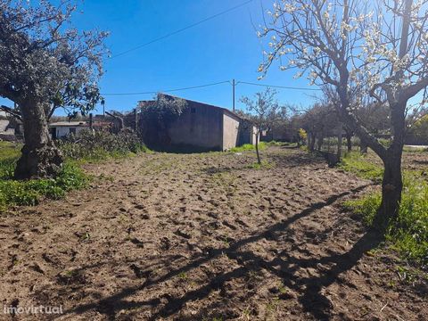 Small farm in Idanha-a-Nova Located near the village. With water and electricity at the door. Construction of agricultural support and irrigation water. Olive trees and fruit trees. Excellent access on tarmac. * Small farm in Idanha-a-Nova Located ne...
