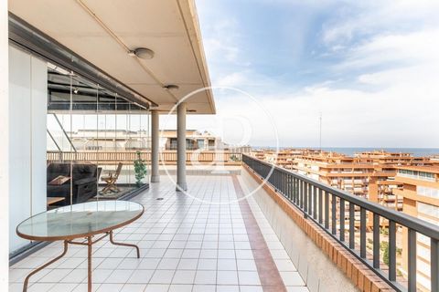 201 sqm penthouse with Terrace and views in Patacona, Alboraya.The property has 3 bedrooms, 3 bathrooms, swimming pool, 1 parking space, air conditioning, fitted wardrobes, balcony, garden and storage room. Ref. VV2110036-2 Features: - Air Conditioni...