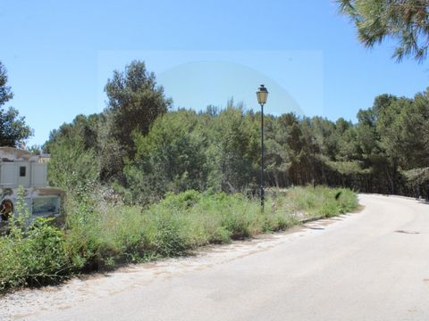 Städtisches Grundstück mit 713m² in der Nähe des Strandes 'Cabanas Velhas' und 2 Minuten vom Fischerdorf Burgau entfernt. Es ermöglicht den Bau einer Villa mit einer Bruttobaufläche von bis zu 220m², mit zwei Etagen und Schwimmbad. Umgeben von Landsc...