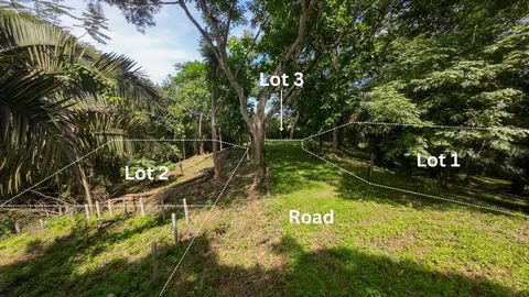 Dans la zone exclusive de Playa Peladas, nous sommes fiers de présenter trois lots exceptionnels qui combinent la beauté naturelle du Costa Rica avec la commodité d’un emplacement stratégique. Lot 1 - 1.758,02 m² / $280.000 Lot 2 - 1.868,06 m² / $326...