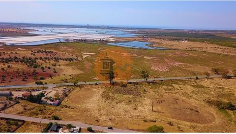 Terrain rustique de 17 800 m2 à Sapal Chão, à Castro Marim - Algarve. Terrain plat à côté de la ligne de train Castro Marim. Il y a de l'électricité à côté du terrain. Il dispose de deux accès asphaltés. À seulement 5 minutes de Praia Verde et du cen...