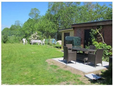 Gezellig vakantieappartement met sauna op de begane grond van een typisch huisje met rieten dak direct aan de Oostzee. Grote tuin met zitje en strandstoel.