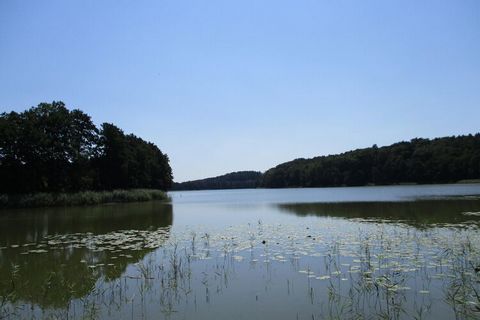 Miłośnicy przyrody i rodziny poczują się tu szczególnie jak w domu: zadbany dom wakacyjny i wspaniały teren na świeżym powietrzu, idealny do grillowania i relaksu w ogrodzie. W pobliżu znajduje się 7 jezior wędkarskich. Ale kąpiele w Morzu Bałtyckim ...