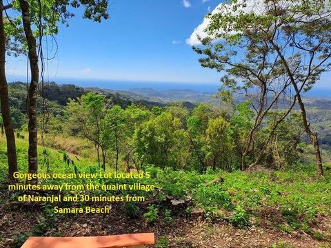 Lote Mirador #2 is found situated about 680 meters above sea leveland 15 minutes from the paved national road 150. The region is sparsely inhabited by friendly local farmers and their families. The beautiful mountain road leading to the village is fa...