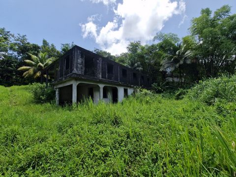 photo no. 2
