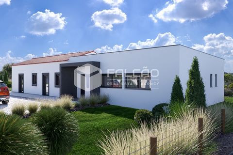 TURNKEY PROJECT! 45m from Lisbon, located approximately 9km from the A1/A15/A13 in Santarém, located on a plot of approximately 3600m2, with a natural water well, set in a rural environment in the middle of the Ribatejo countryside, surrounded by oth...