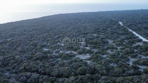 Location: Zadarska županija, Vir, Vir. VIR ISLAND – Landen Sie in der grünen Zone! Dieses exklusive Grundstück befindet sich in der grünen Zone der wunderschönen Insel Vir und zeichnet sich durch seine günstige Lage als erste Linie zur Adria aus. Die...