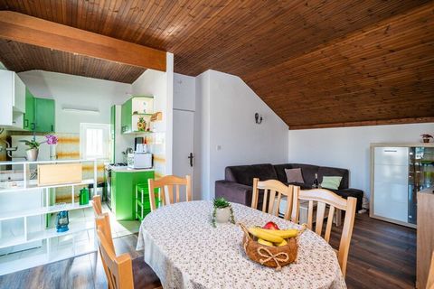 Apartment Dorica is situated in Lapad neighborhood in Dubrovnik, 14min drive away from the historic Old City and a short walk away from the best beaches Dubrovnik has to offer. Terrace fitted with outdoor furniture and outdoor dining area are at your...