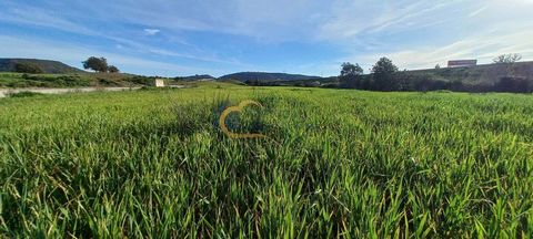 5 Hektar großes ländliches Grundstück mit guter Zufahrt, Wasser und Strom in der Nähe, gelegen am Standort Campilhos, neben dem Industriegebiet Algarpark, an der Rua de Fonte de João Luis, in São Bartolomeu de Messines. 2 km von der Zufahrt zur Autob...