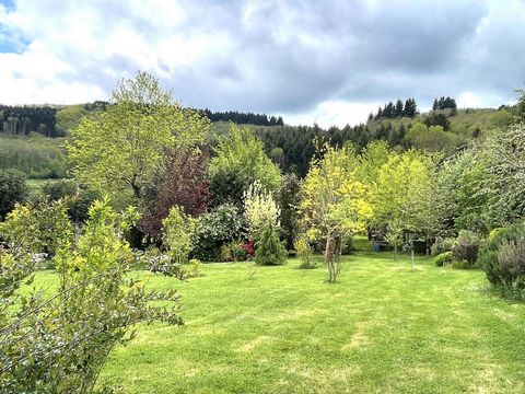 photo no. 12