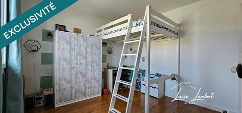 photo no. 11