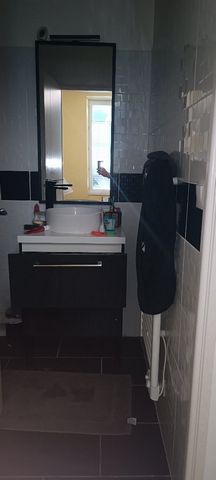 photo no. 6