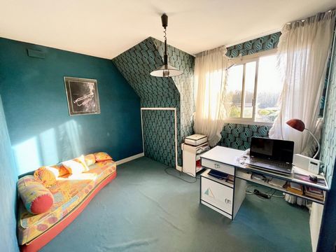 photo no. 9