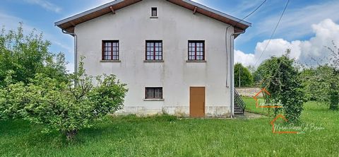 photo no. 14