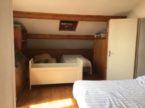 photo no. 12