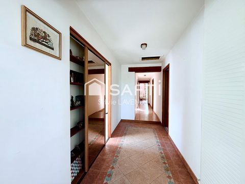 photo no. 9