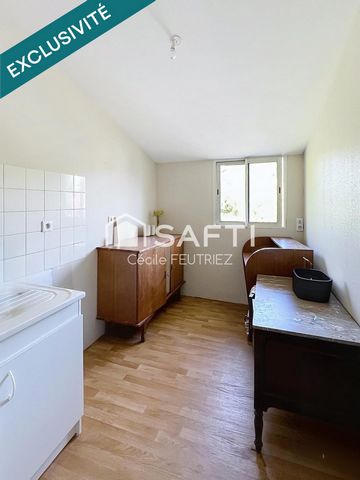photo no. 9